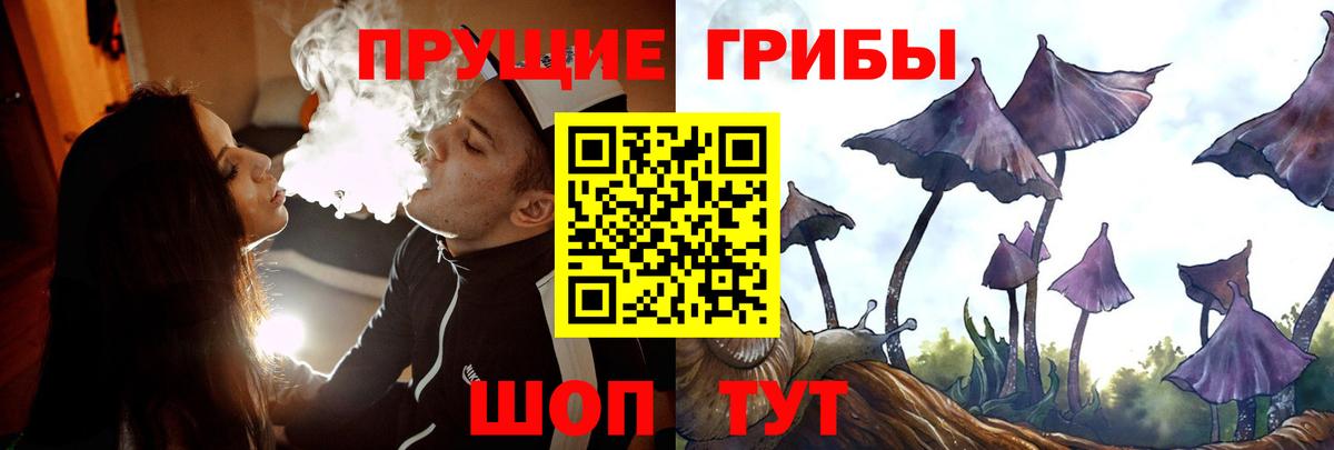 Псилоцибиновые грибы MAGIC MUSHROOMS Коркино